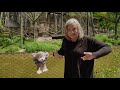 Zoo Animal Knowledge Assessment