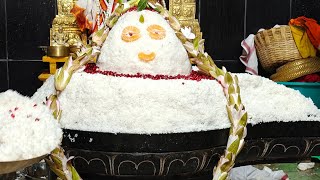 అత్యంత మహిమాన్వితం కార్తీక మాసం అన్నాభిషేకం
