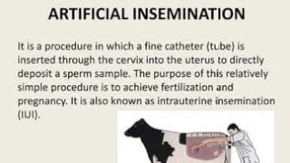Artificial Insemination