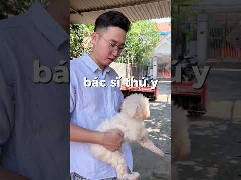(p1) Không sủa vào mic t sẽ thay đổi cuộc đời mày| Namy Official 88