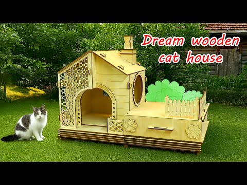 Rescue poor cat and make dream cat house | TOOCAA L2 laser