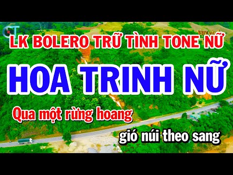 Liên Khúc Nhạc Vàng Tone Nữ | Hoa Trinh Nữ | Hai Mùa Mưa