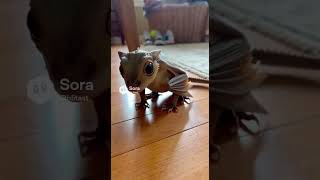 Taking care of the little one. #shorts  #ugc #iphonevideo #reallife #dailylife
