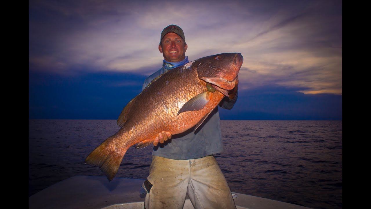 SPEAR FISHING! FILLETING! COOKING! EATING! DMFD!