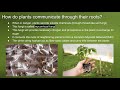 Plant Communication and Interaction Concepts