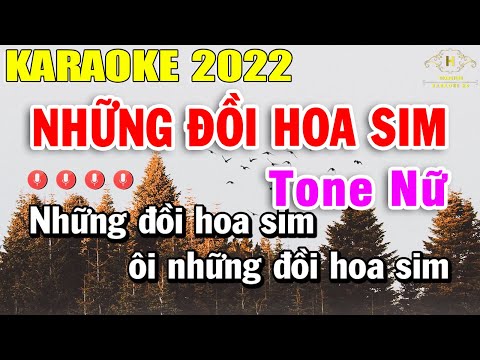 Những Đồi Hoa Sim Karaoke Tone Nữ Nhạc Sống 2022 | Trọng Hiếu