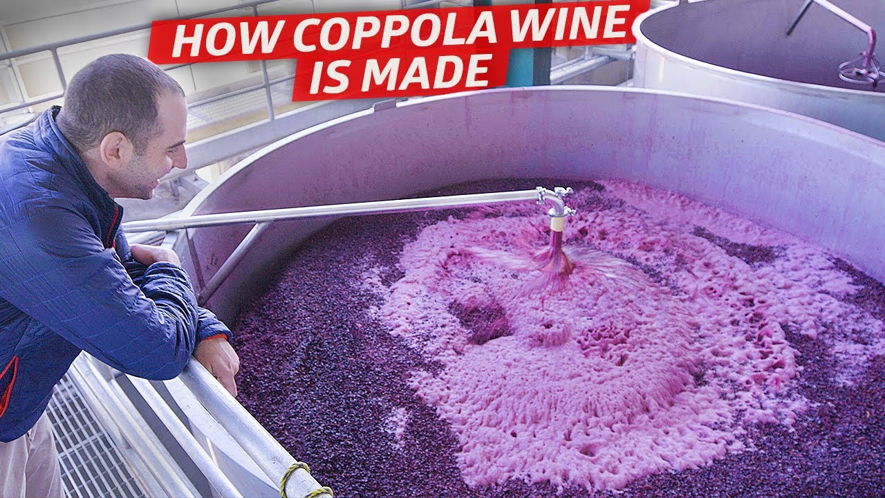 How the Francis Ford Coppola Winery Makes Over 12 Million Bottles of Wine a Year Dan Does