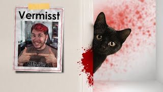 1 süße Katze & sie hat gaaaaaar nix gemacht 🫣