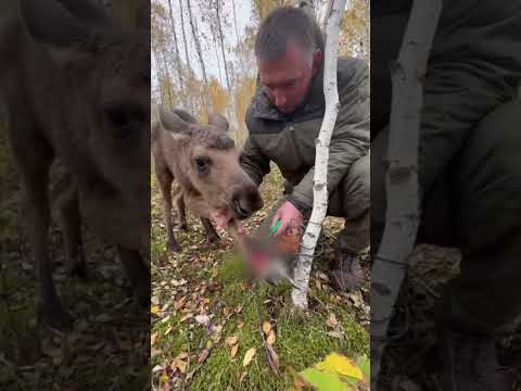 Тихо тихо малыш, потерпи...😢