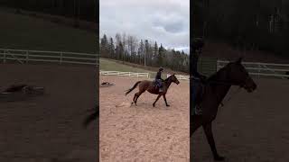 First time jumping outside for 2026!