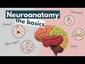 Brain Structure and Function Assessment