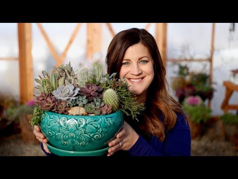 How I Make a Succulent Arrangement!
