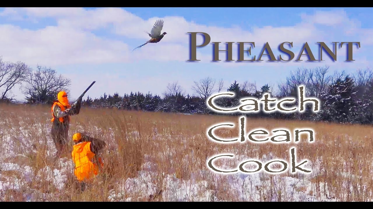 Pheasant Catch Clean Cook Kansas 2018