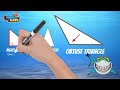 Triangle Types and Angle Properties