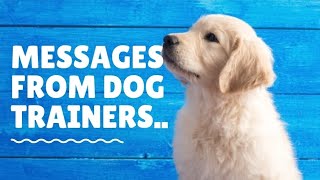Messages from Dog Trainers