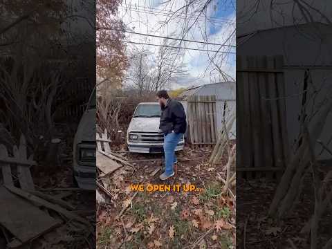 The Mystery Hidden in My New Backyard