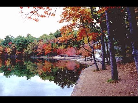 梭羅的湖濱散記~~(瓦爾登湖) - YouTube