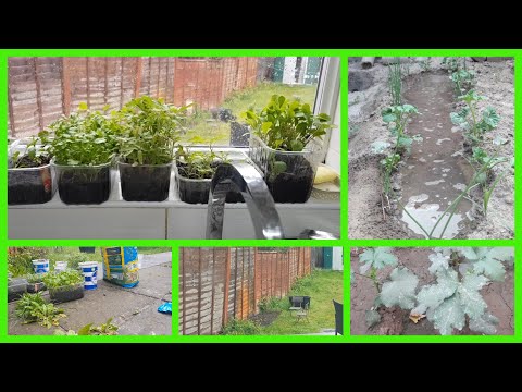 Kitchen Garden Seeds Coupon Code - 122021
