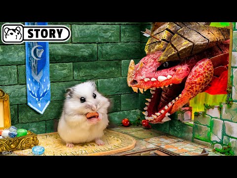 ⚔️ Hamster vs Dragon in the Dungeons & Dragons Maze ⚔️ Homura Ham
