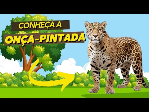 ONÇA-PINTADA 🐆 CONHECENDO e aprendendo a CONTAR e a FALAR