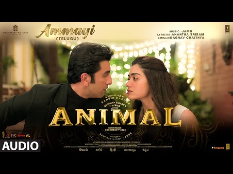 ANIMAL (Telugu) Ammayi Song : Ranbir Kapoor,Rashmika M | Raghav, Pritam Anantha | Sandeep Reddy V