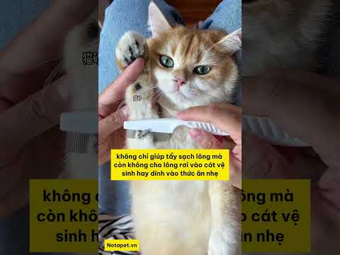 Bí quyết tẩy lông hiệu quả cho thú cưng của bạn #notapetvn #fyp #pet #cat #dog #cute