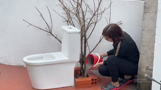 Amazing Idea From Old Toilet And Twigs Making Coffee Table Flower Pots  Lampes Decorate Your Home .