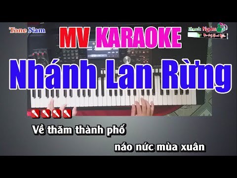 Nhánh Lan Rừng Karaoke 8795 |Tone Nam – Nhạc Sống Thanh Ngân