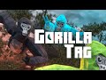 Gorilla Behavior and Abilities