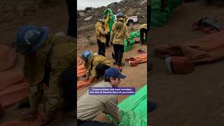 Always on the move at CCC Los Piños Center