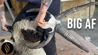 Sick Horns, But Thats The Challenge