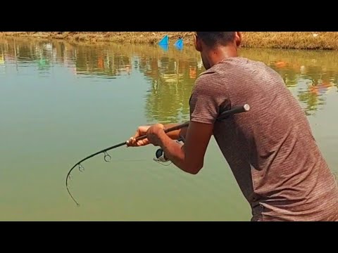 Best fishing spot of amateur anglers in Bangladesh