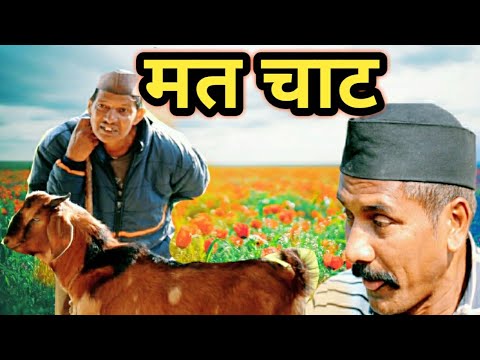 मत चाट ||  कुमाऊनी लघु फिल्म || kumauni short film @APNAMANGAL