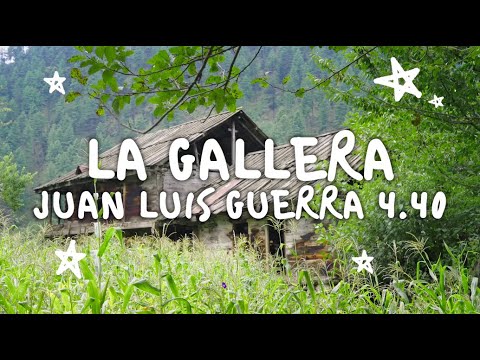 Juan Luis Guerra 4.40 - La Gallera (Video Oficial)