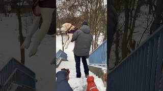 Otti (13): Wenn Vertrauen stärker ist als das Augenlicht.