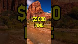 $5,000 and Six Months — For a Hike