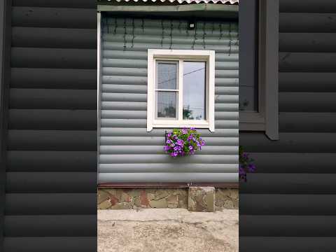 ВСЕ ПЕРЕКРАСИЛИ И НЕ ЖАЛЕЕМ #дача #жизньбездублей #ташамуляр