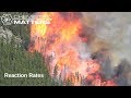 Chemical Reaction Principles and Kinetics