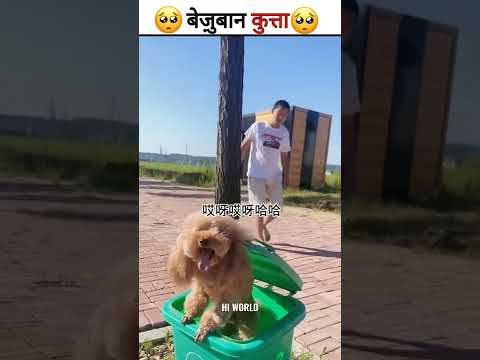 घमंडी लड़का Part- 11 😒 Moral story hindi | Short Motivational Stories | Hindi Kahaniya #shorts