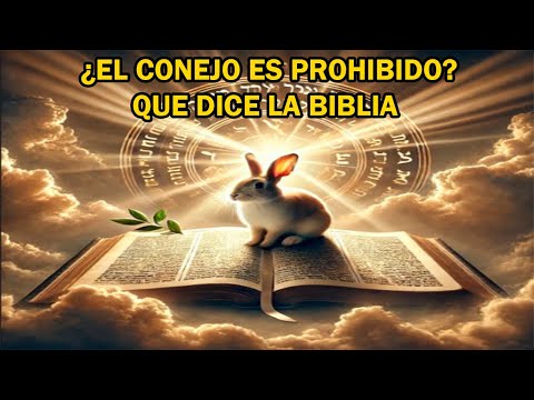 ¿El Conejo es Prohibido o no en la Biblia? | Que dice la biblia