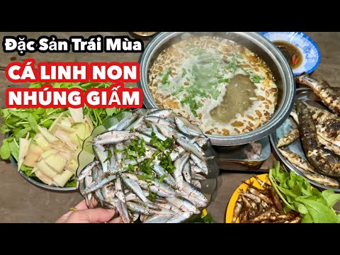 Mùa Nước Nổi Như Được Trở Lại Với Món Đặc Sản CÁ LINH NON NHÚNG GIẤM | Bông Lúa Đồng Tháp