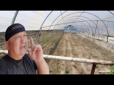 ОХУНОВ ТВ ДЕХКОНЧИЛИКЛАРИ ТАМОМ ЭНДИ НИМА КИЛМОКЧИ...