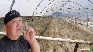 ОХУНОВ ТВ ДЕХКОНЧИЛИКЛАРИ ТАМОМ ЭНДИ НИМА КИЛМОКЧИ...