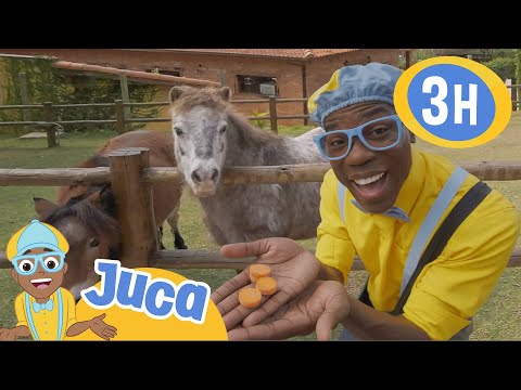 Juca faz carinho nos animais da fazendinha! | HORA DO JUCA BRASIL! | Vídeos Educativos para Crianças