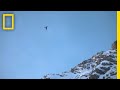 Understanding Anchoring and Trust in Ice Climbing