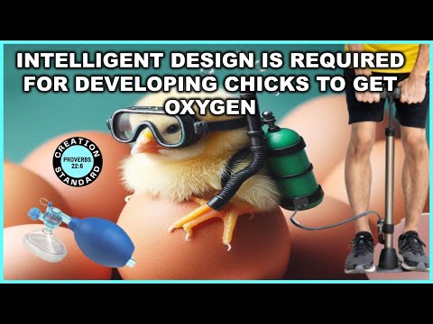 INTELLIGENT DESIGN IS REQUIRED FOR DEVELOPING CHICKS TO GET OXYGEN FROM WITHIN THE EGG SHELL