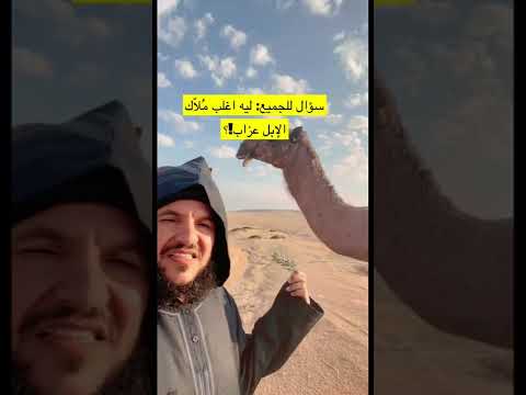 #سؤال للجميع #الابل