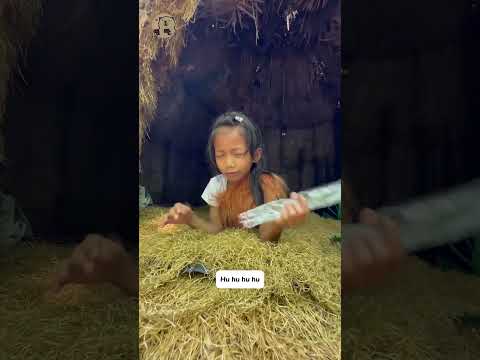 Có cây kẹo cũng lấy của người ta