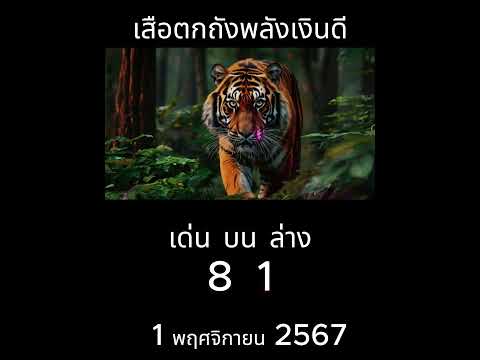 เสือตกถังพลังเงินดีงวดล่าสุด1พฤศจิกายน2567