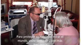 La diabetes grupo 1